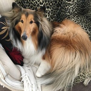 Meet your Posher, Helen